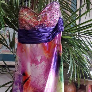 Cinderella Divine Colorful Formal Gown